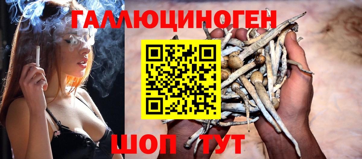 Галлюциногенные грибы Psilocybe Острогожск