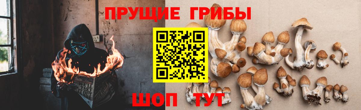 Псилоцибиновые грибы прущие грибы  Вход с VPN  Галлюциногенные грибы MAGIC MUSHROOMS  Острогожск 